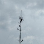 IMG_20171003_154455